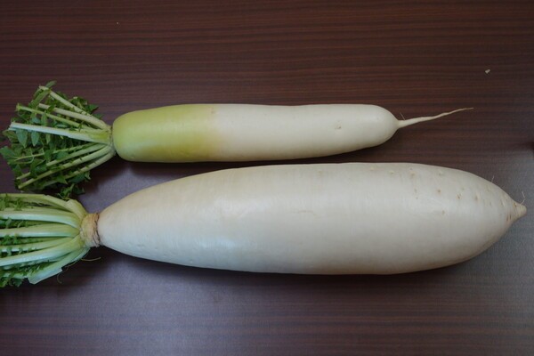 agri