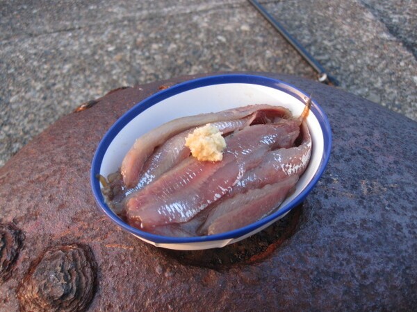 crazy-fishing