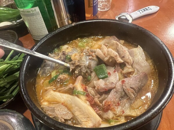 locotabi