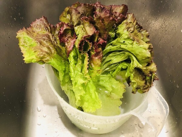 kamaivege