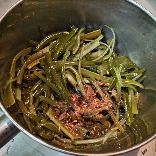 kurashinista