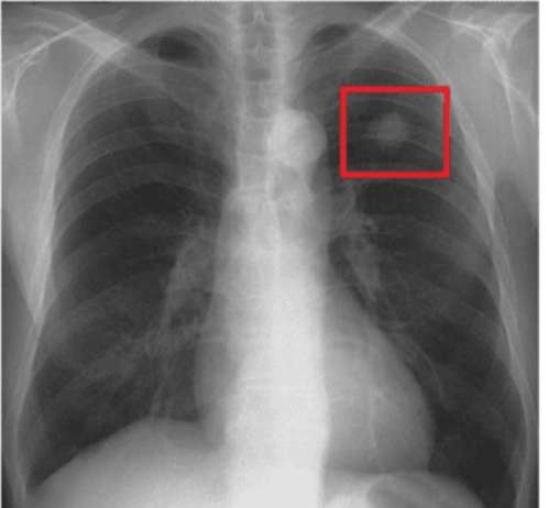 nishikawaclinic