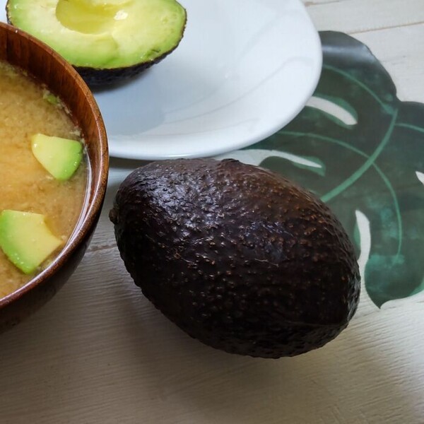kurashinista