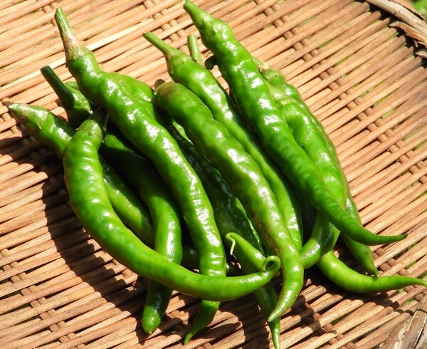 taberutokurasuto