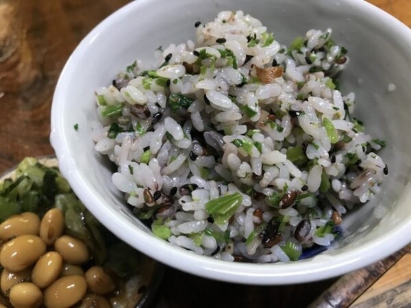 gamakoan