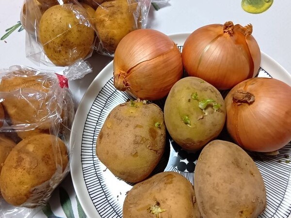 kurashinista