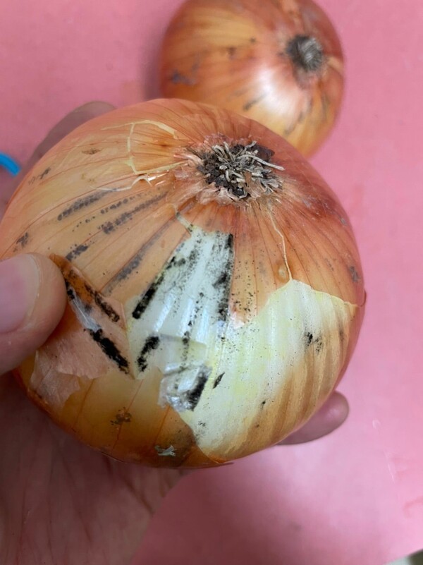 ameblo