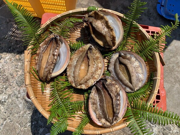 anorifuguya