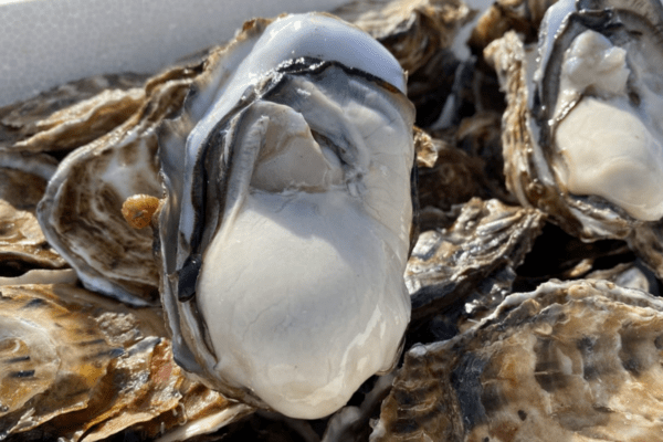 oysterbar