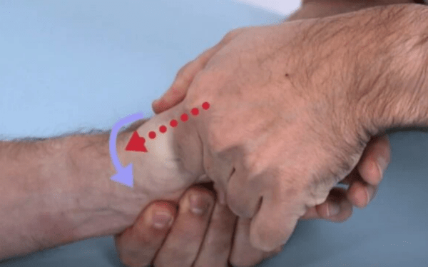 physiotutors