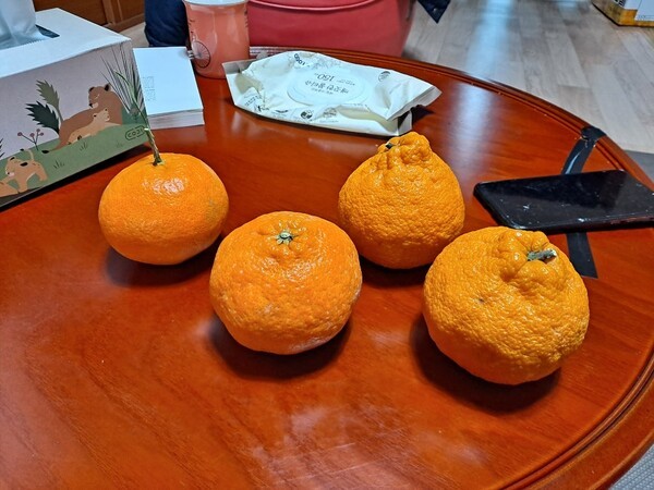 ameblo