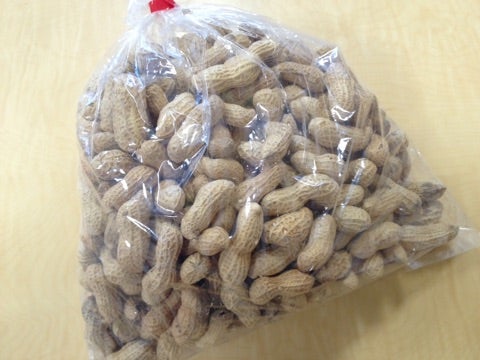 ameblo