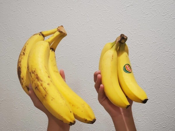 yomuno
