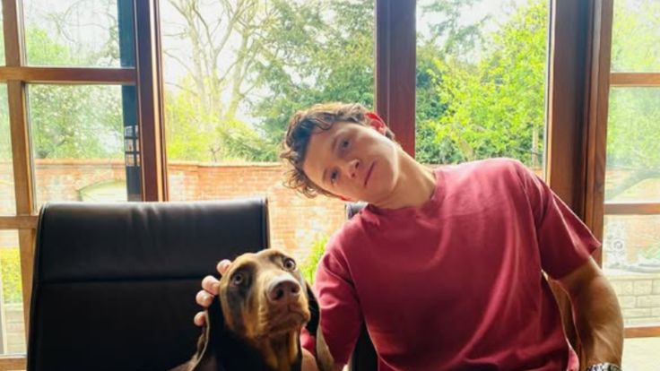 Tom Holland / Credit: Instagram