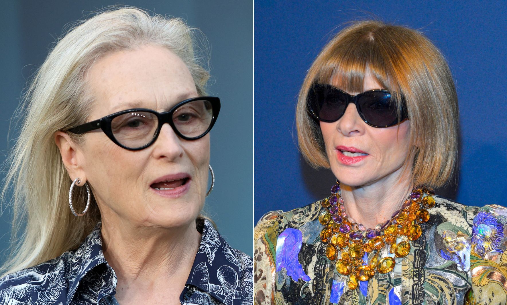 Meryl Streep and Anna Wintour / Credit: DepositPhotos