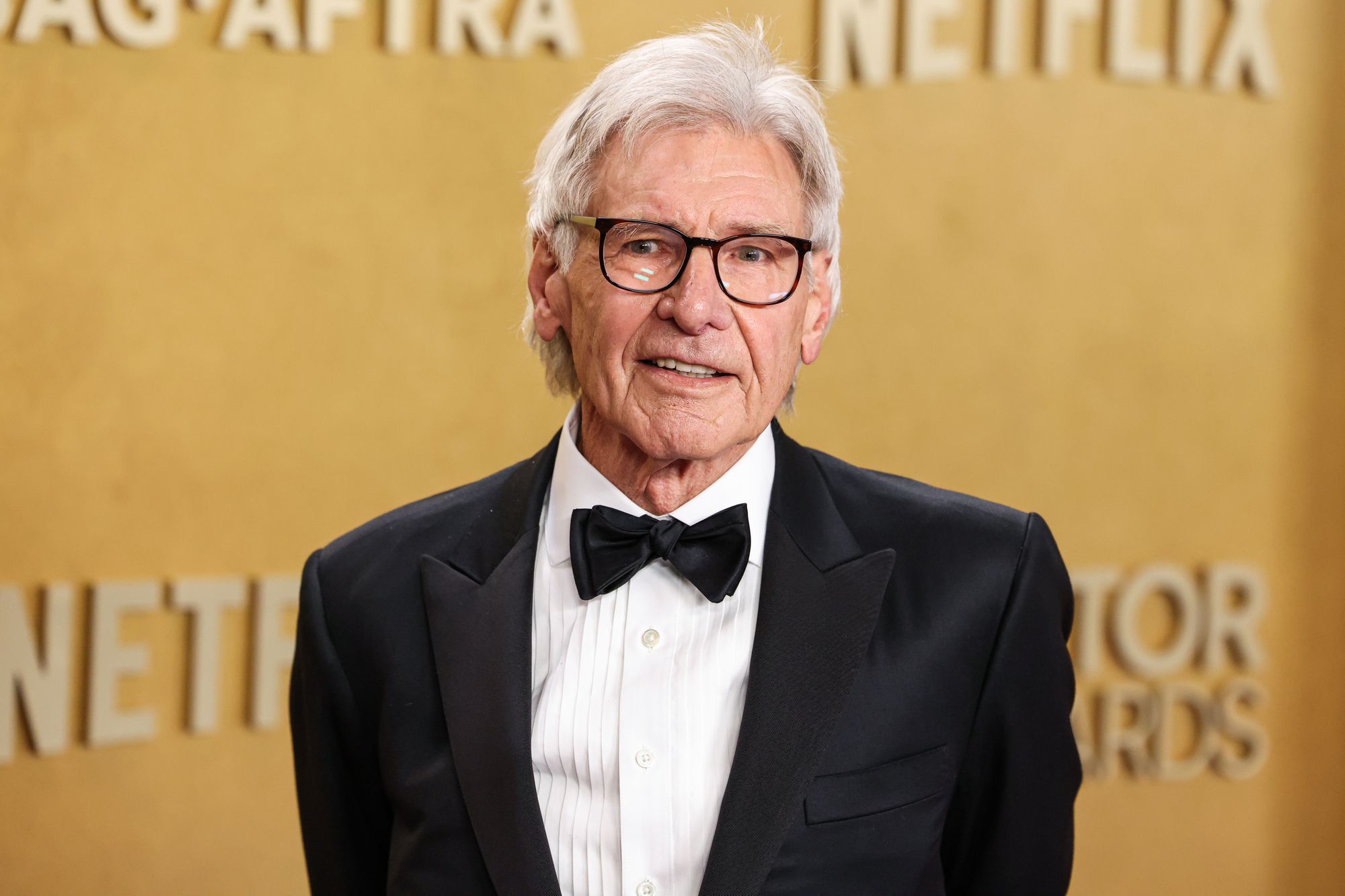 Harrison Ford / Credit: DepositPhotos