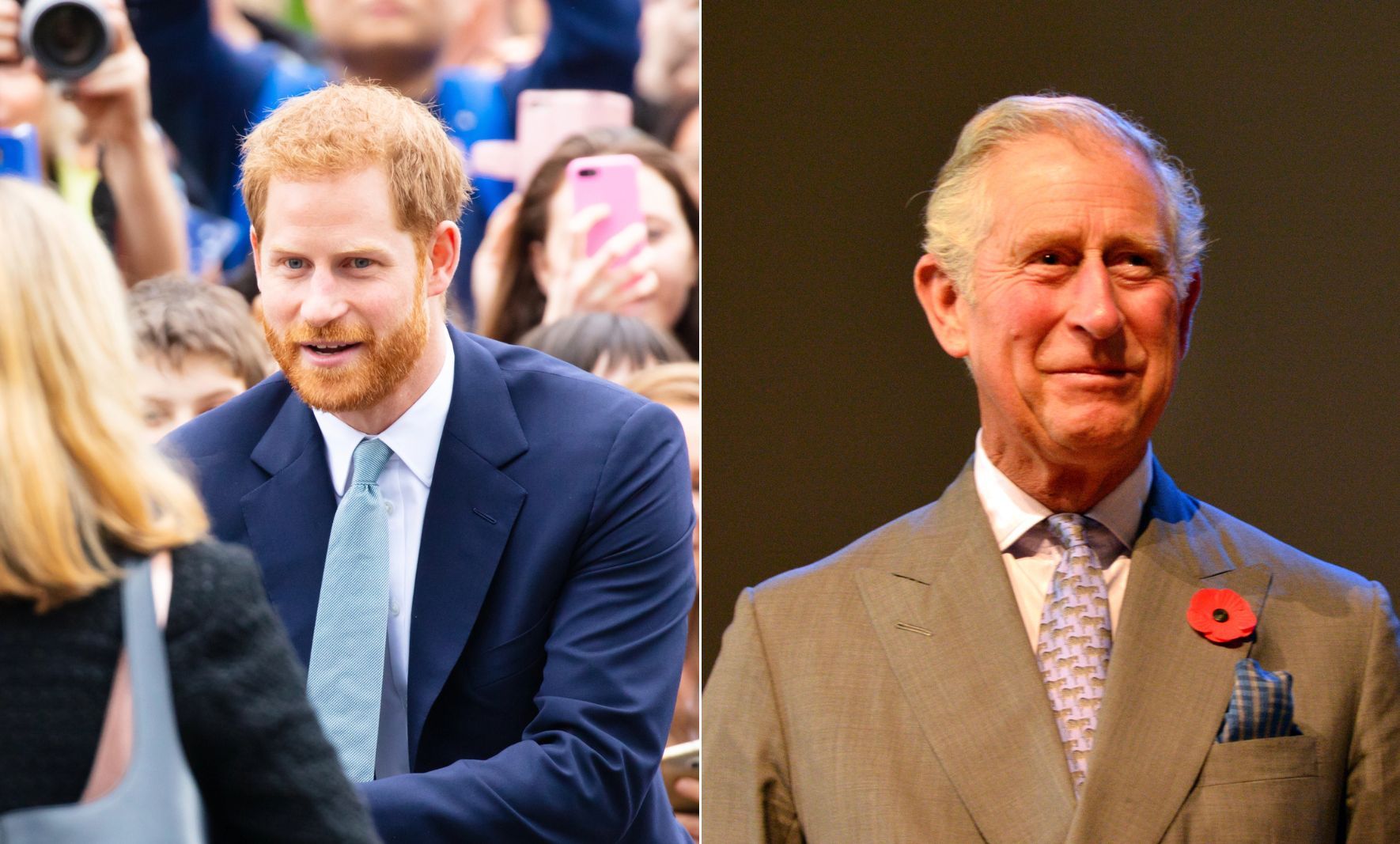 Prince Harry and King Charles / Credit: DepositPhotos