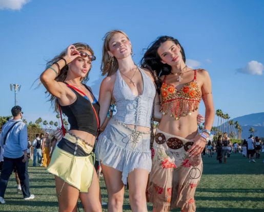 Coachella Visitors (The image is not related to the article) / Credit: X