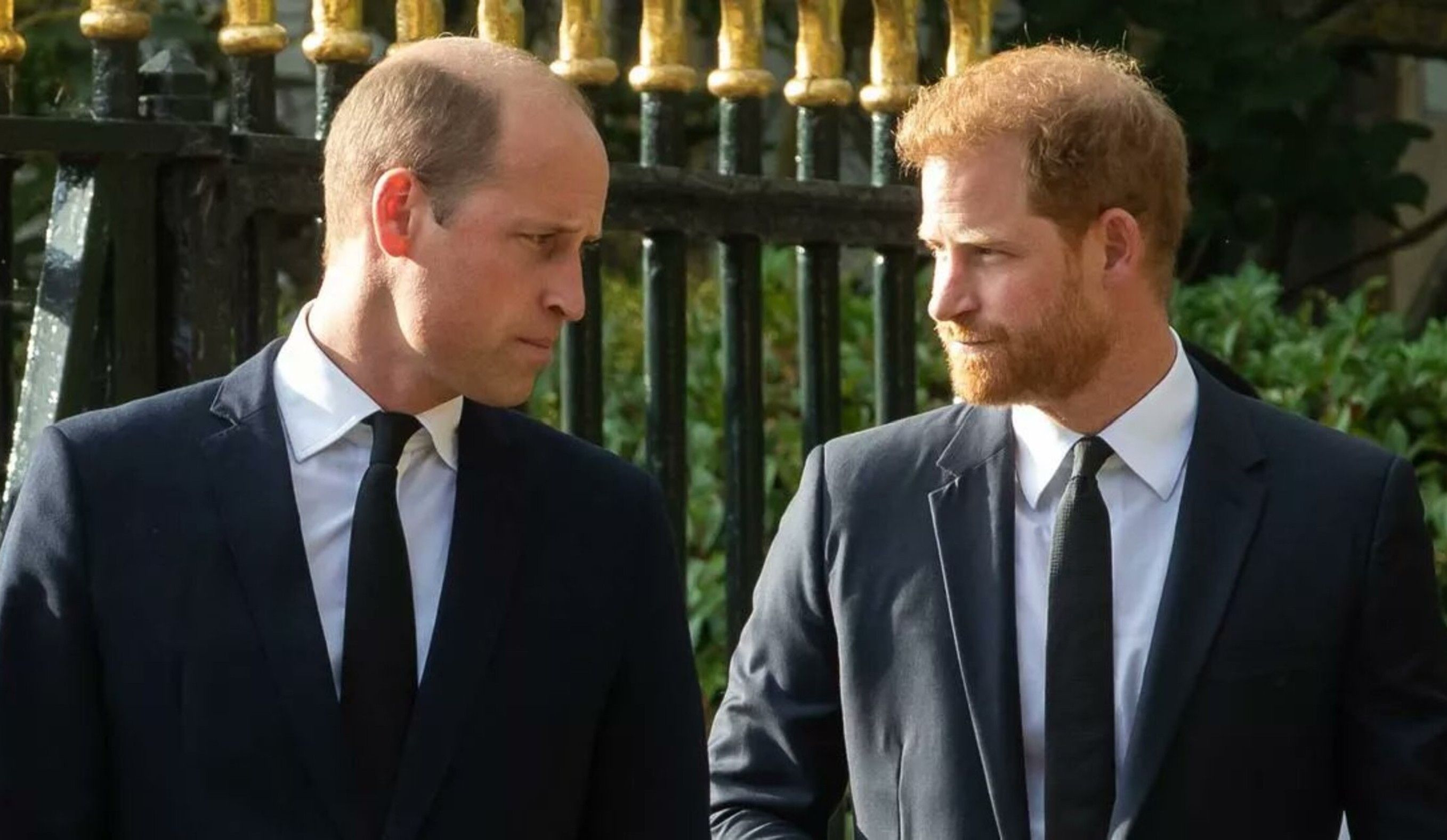 Prince William and Prince Harry / Credit: X