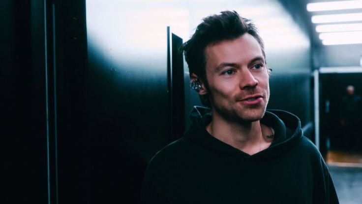 Harry Styles / Credit: Instagram