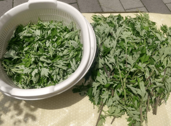 온라인 커뮤니티