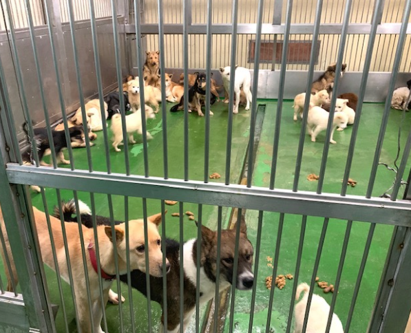 온라인 커뮤니티