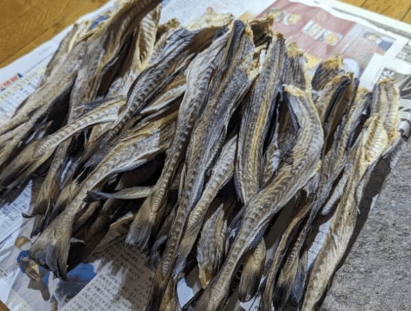 온라인 커뮤니티
