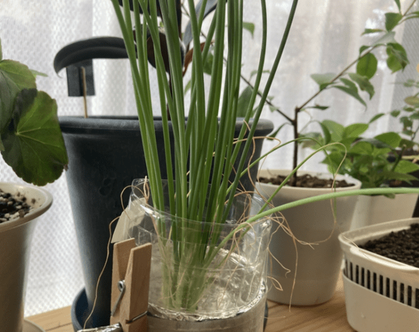 온라인 커뮤니티
