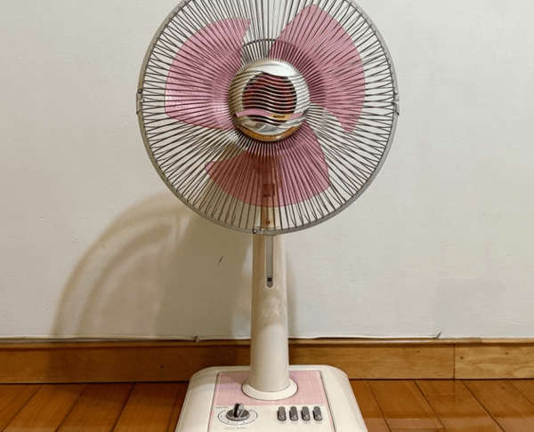 온라인 커뮤니티