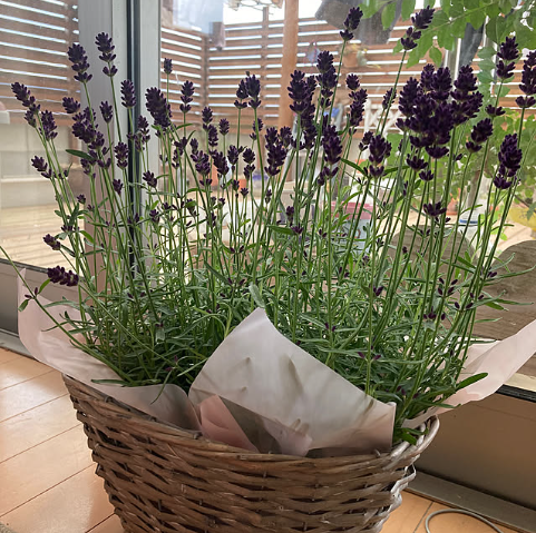 온라인 커뮤니티