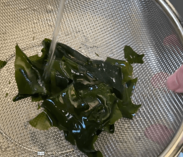 온라인 커뮤니티