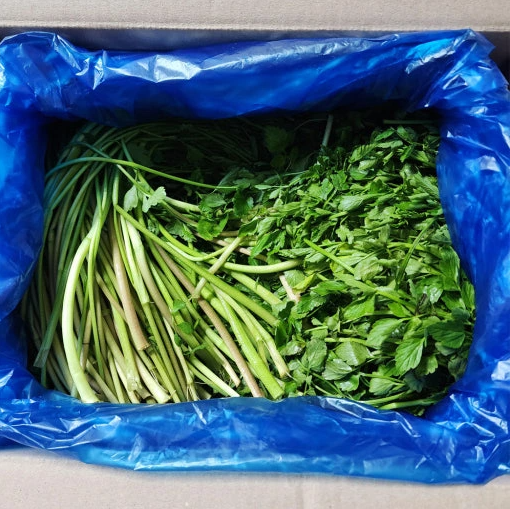 온라인 커뮤니티