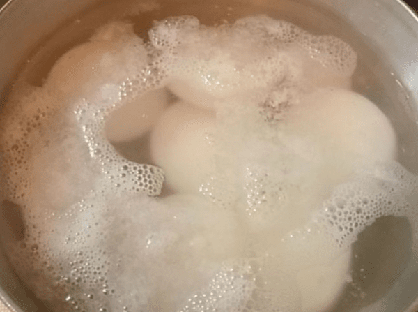 온라인 커뮤니티