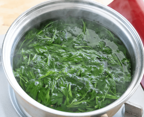 온라인 커뮤니티