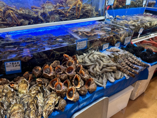 온라인 커뮤니티