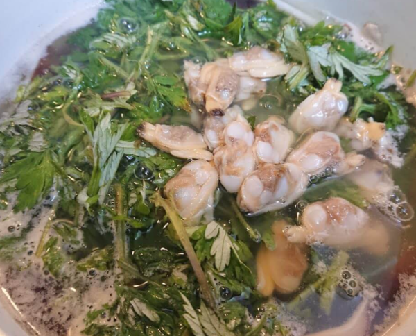 온라인 커뮤니티