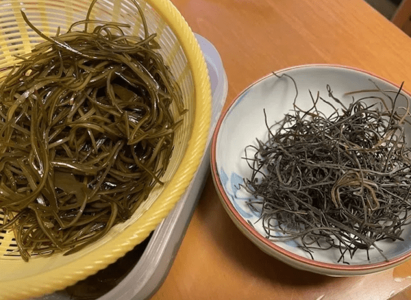 온라인 커뮤니티