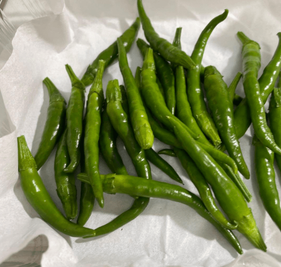 온라인 커뮤니티
