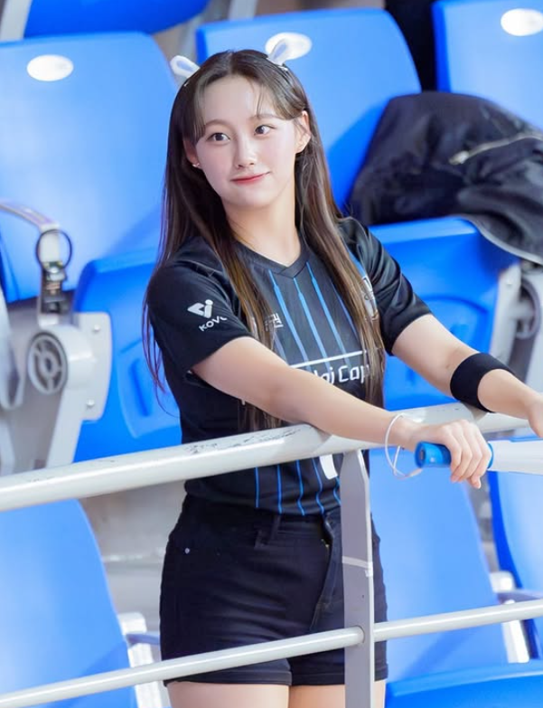 引用：写真