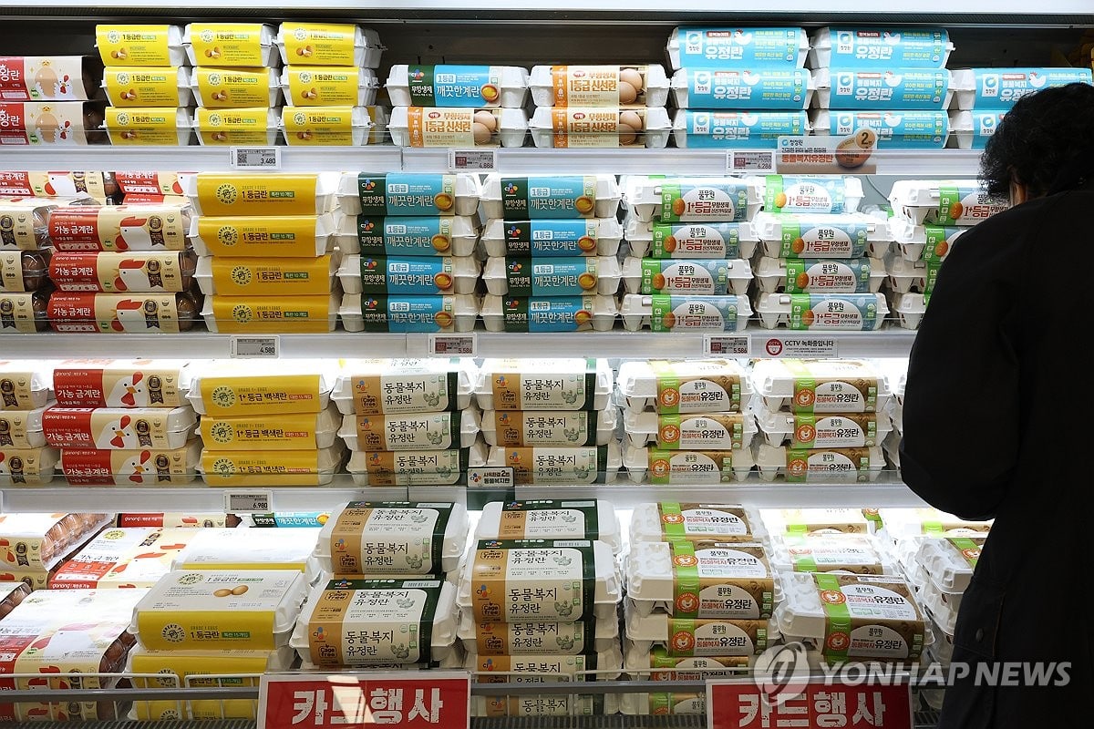 고기값만 '나 홀로' 폭등…3월 축산물 물가 3월 축산물 물가 6.2% 오르고 농산물은 5.6% 하락 | 연합뉴스
