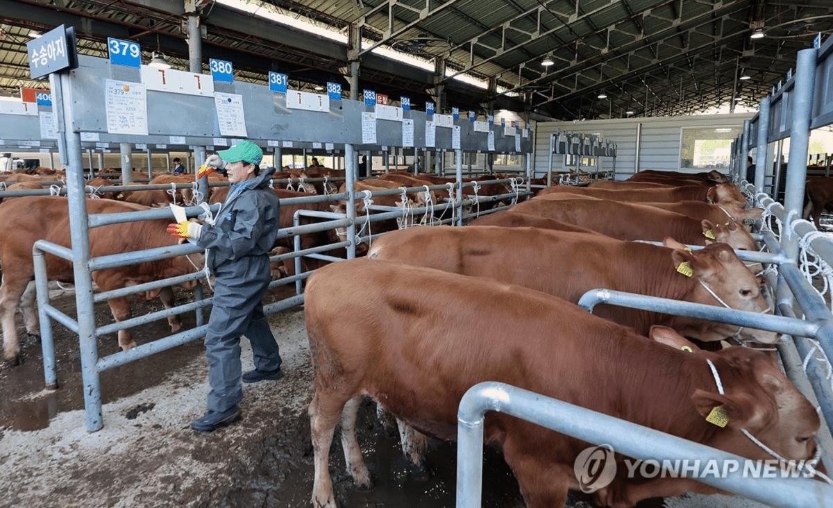 물가 상승 경고음, 가축 줄자 계란값 압력… 가계 살림 비상 3 2026년 1분기 가축동향조사