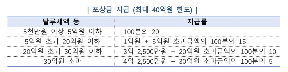 최대 40억 포상금 내건다…국세청, 부동산 탈세 신고 총력전 3 국세청