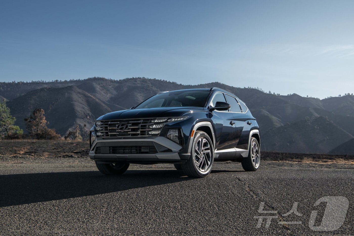 하이브리드 안에서 밖에서 훨훨…친환경차 수출비중 첫 30% 돌파 - 뉴스1