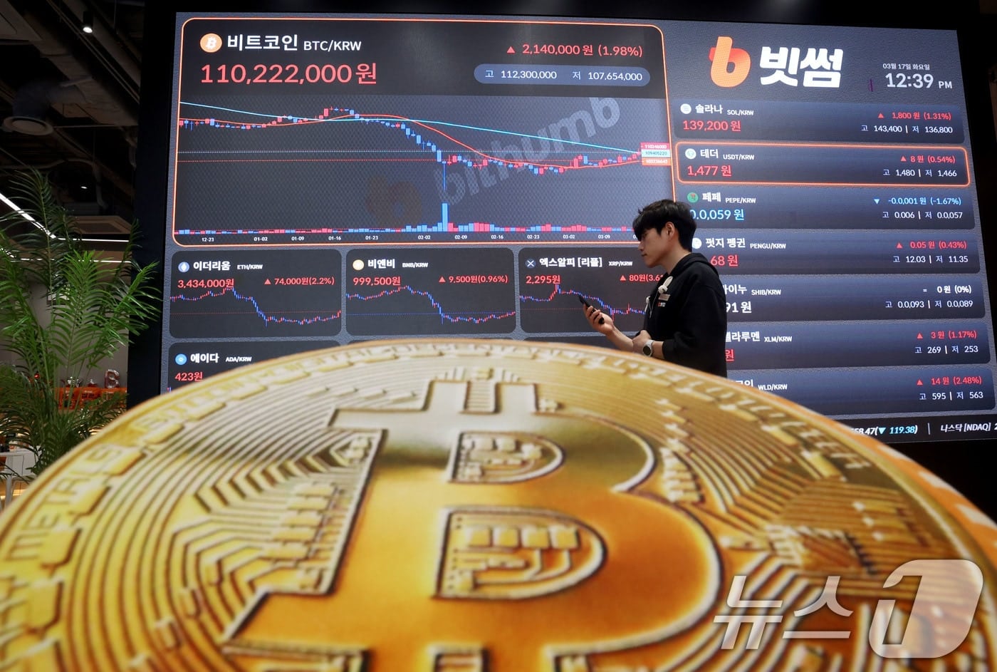투자자 2000만 명 돌파에도…국내 가상자산 시총, 40조 '증발' 2 지난해 국내 코인 시총 100조 붕괴…트럼프發 리스크에 '롤러코스터' - 뉴스1