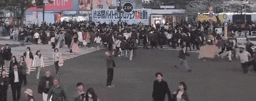 引用：X