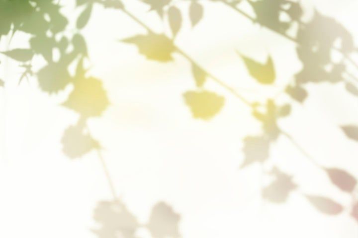 引用：ニューシス