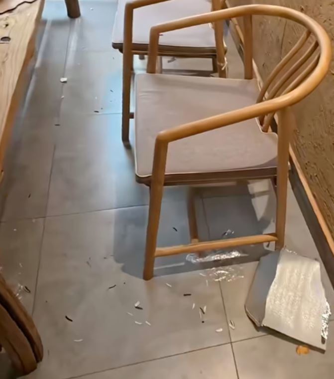 引用：TikTok