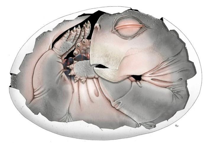 引用：PLOS oneのホームページ