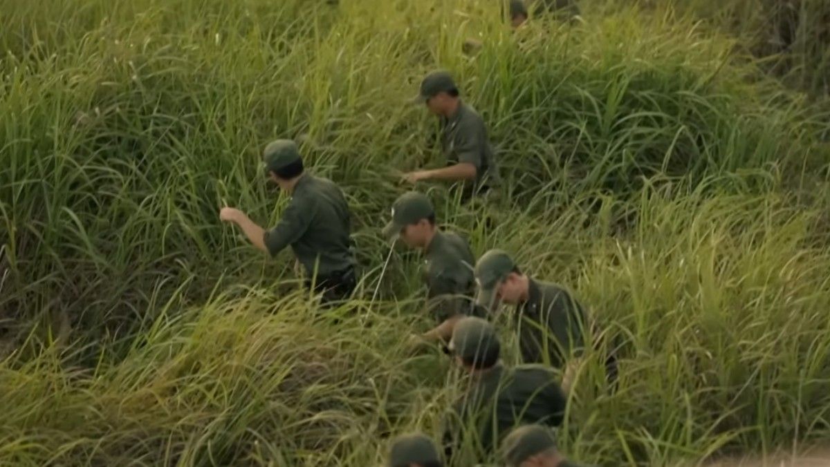 引用：ENA『かかし』