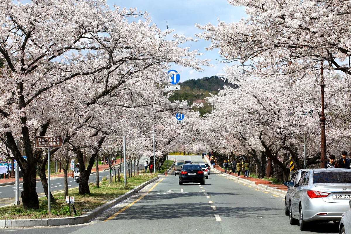 흥무로 - 경주여행 여행